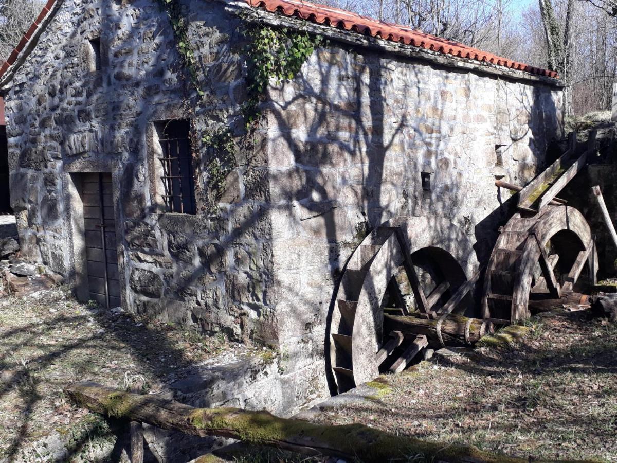 Гостевой дом Wine House Rakar Gracisce Экстерьер фото